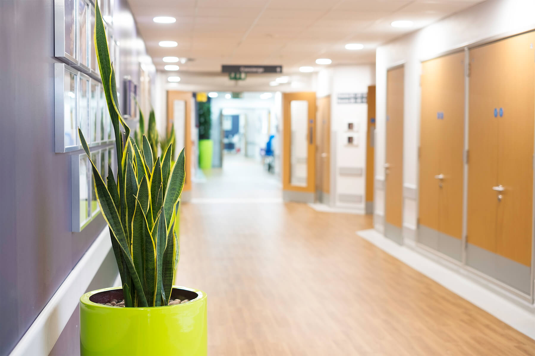 Parkside Private Suite, Frimley Park Hospital Long view 2